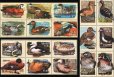 画像1: グレナダ切手 　2001年　　水鳥　カモ　シラボシガモ　18種 (1)
