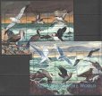 画像1: シエラレオネ切手　2000年　海鳥　シロカモメ　12種 (1)