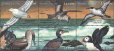 画像2: シエラレオネ切手　2000年　海鳥　シロカモメ　12種 (2)