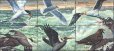画像3: シエラレオネ切手　2000年　海鳥　シロカモメ　12種 (3)