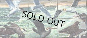 画像3: シエラレオネ切手　2000年　海鳥　シロカモメ　12種