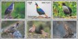 画像1: ブータン切手　2017年　鳥　キジ　6種 (1)