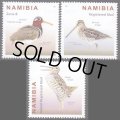 ナミビア切手　2021年　鳥　タマシギ　3種