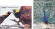 画像1: 北朝鮮切手　2017年　鳥　バンドン国際切手博覧会　オオフウチョウ　2種 (1)