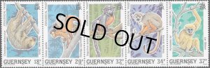 画像1: ガーンジー島切手 　1989年　ガーンジー動物園　サル　動物　5種