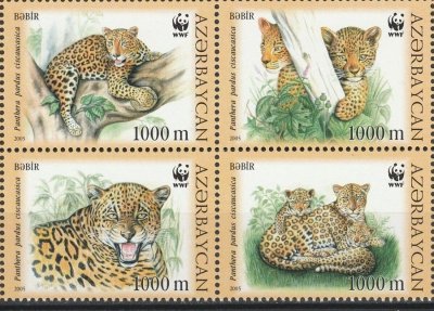 画像1: アゼルバイジャン切手　2005年　WWF　 コーカサスヒョウ　4種