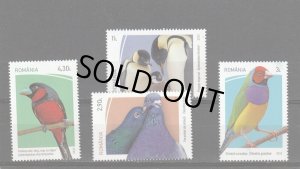 画像1: ルーマニア切手　2023年　国際鳥の日　鳥　コキンチョウ　4種