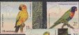 画像2: ルーマニア切手　2023年　世界のオウム 　ゴシキセイガイインコ　4種 (2)