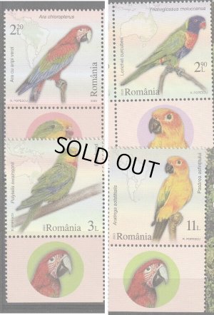画像1: ルーマニア切手　2023年　世界のオウム 　ゴシキセイガイインコ　4種