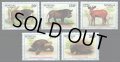 セネガル切手　1995年　ブッシュバック　動物　5種