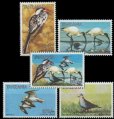 画像1: タンザニア切手　1997年　海岸の鳥　アフリカクロトキ　5種 (1)