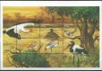 画像2: タンザニア切手　1999年　シロチドリ　鳥　6種 (2)