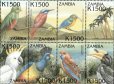 画像1: ザンビア切手 　2000年　鳥　オオサイチョウ   8種 (1)