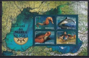 画像2: ルーマニア切手　2007年　海洋生物　黒海の動物相　イルカ　4種