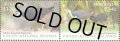 ココス キーリング島切手　2023年　鳥　シロハラクイナ　2種