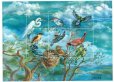 画像2: ブータン切手　1999年　鳥　アメリカヤマセミ　9種 (2)