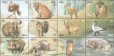 画像1: アンゴラ切手　2000年　野生動物　鳥　ヘビクイワシ　12種 (1)