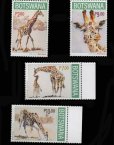 画像1: ボツワナ切手　2020年　キリン　4種 (1)