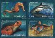 画像1: ルーマニア切手　2007年　海洋生物　黒海の動物相　イルカ　4種 (1)