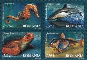 画像1: ルーマニア切手　2007年　海洋生物　黒海の動物相　イルカ　4種