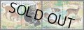 韓国切手　1998年　野生動植物の保護　アムールヒョウ　4種