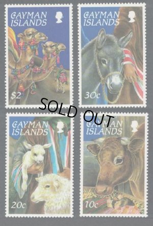 画像1: ケイマン諸島切手　1995年　動物　クリスマス　ヒトコブラクダ　4種　