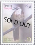 ネパール切手　2021年　鳥　1種