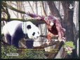 画像2: インドネシア切手　2019年　中国武漢切手展　パンダ　動物　2種 (2)