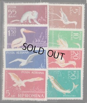 画像2: ルーマニア切手　1957年　ドナウデルタの動物相　鳥　セイタカシギ　8種