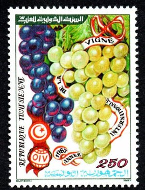 画像1: チュニジア切手　1987年　ぶどうの国際年　果物　1種