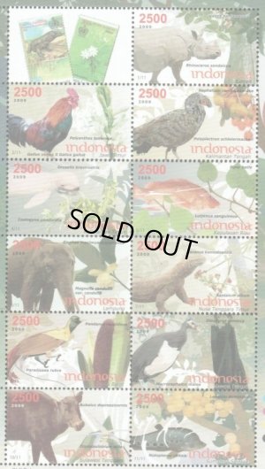 画像1: インドネシア切手　2009年　ボルネオコクジャク　動植物 　12種