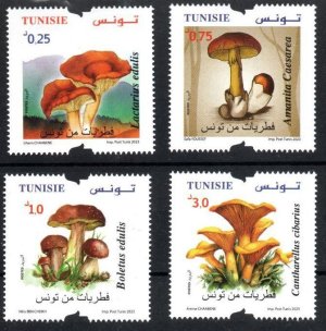 画像1: チュニジア切手　2023年　チュニジアのキノコ　セイヨウタマゴタケ　4種