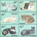 ニカラグア切手　2000年　ネコ　9種
