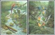 画像2: ガイアナ切手　1999年　中米の鳥やインコ　コガネメキシコインコ　16種 (2)