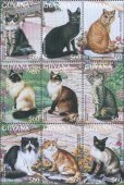 画像1: ガイアナ切手　1996年　世界のネコ　ノルウェージャンフォレストキャット　10種 (1)