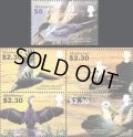 モントセラト切手　2005年　海鳥　アジサシ　5種