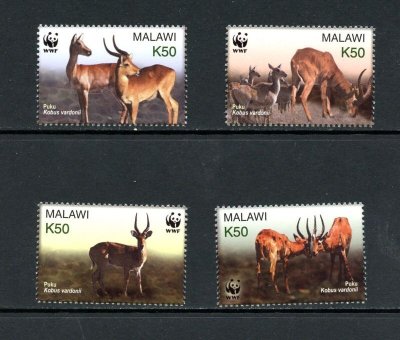 画像1: マラウイ切手　2003年　WWF　動物　4種