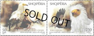 画像1: アルバニア共和国切手　2022年　鳥　猛禽類　エジプトハゲワシ　2種