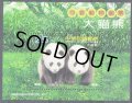 台湾切手　2009年　台北動物園のパンダ　1種
