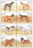 画像1: キルギス切手　2000年　アジアの犬　秋田犬　8種 (1)