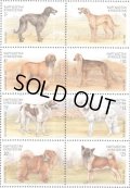 キルギス切手　2000年　アジアの犬　秋田犬　8種
