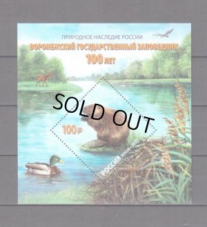画像1: ロシア切手　2023年　ヴォロネジ州立自然生物圏保護区  100 周年 ビーバー　1種