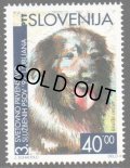 スロベニア切手　1992年　犬　訓練犬世界選手権 1種