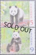 台湾切手　2009年　台北動物園のパンダ　2種