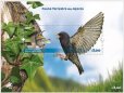 画像1: アゾレス諸島切手　2023年　アゾレス諸島の鳥　　1種 (1)