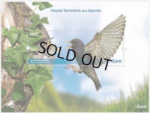 画像1: アゾレス諸島切手　2023年　アゾレス諸島の鳥　　1種