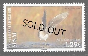 画像1: サンピエール島・ミクロン島切手　2024年　鳥　コシグロクサシギ   1種