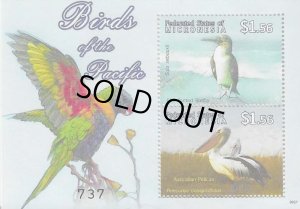 画像1: ミクロネシア切手　2009年　太平洋の鳥たち　アオアシカツオドリ　2種