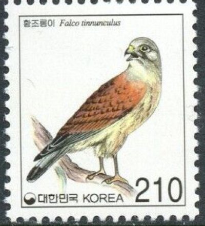 画像1: 韓国切手　2002年　鳥　チョウゲンボウ　1種