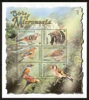 画像2: ミクロネシア切手　2001年　鳥　キバシリ　6種